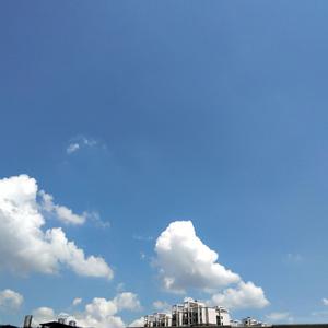 freee性猛玩妓女
