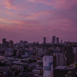 freee性猛玩妓女
