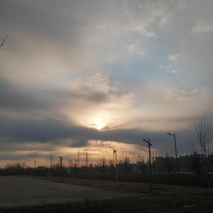 freee性猛玩妓女
