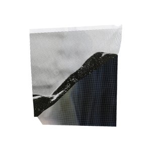 freee性猛玩妓女
